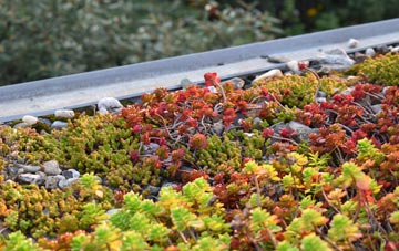 the cost of Penwartha Coombe green roof installation